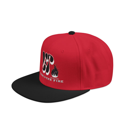 LIT🔥 — Living In The Fire - Flame Snapback Hat
