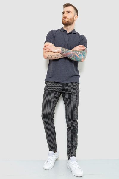 Чоловічі штани в смужку, колір сіро-чорний, 157R2007-1 157R2007-1 фото