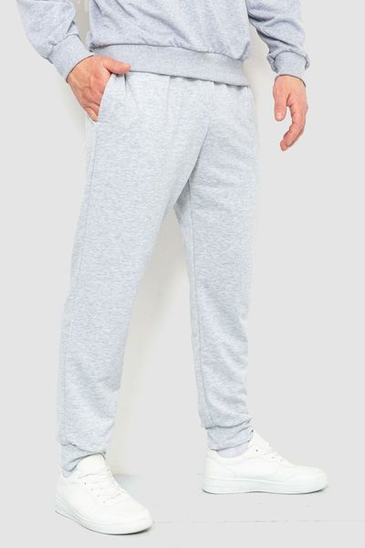 Спорт штаны мужские двухнитка, цвет светло-серый, 241R8005 241R8005 фото