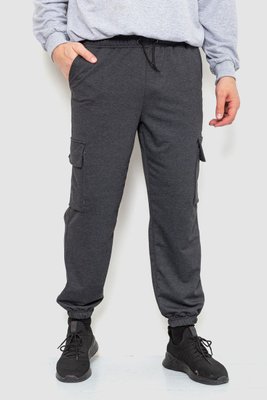 Спортивні штани чоловічі двонитка, колір темно-сірий, 241R0651-1 241R0651-1 фото