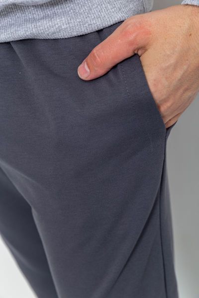 Спорт штани чоловічі двонитка, колір сірий, 241R8005 241R8005 фото