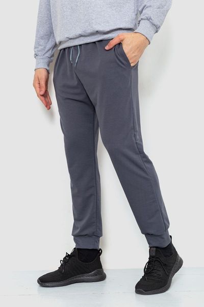 Спорт штаны мужские двухнитка, цвет серый, 241R8005 241R8005 фото