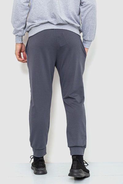 Спорт штаны мужские двухнитка, цвет серый, 241R8005 241R8005 фото