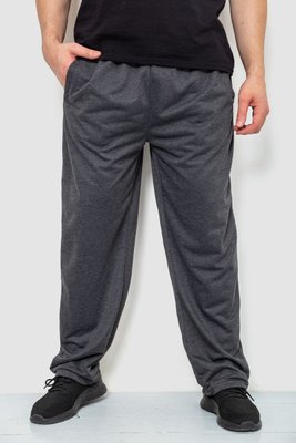 Спорт штаны мужские, цвет темно-серый, 244R10018 244R10018 фото