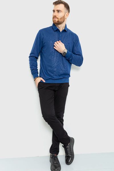 Поло мужское с длинными рукавами, цвет синий, 157R303-1 157R303-1 фото