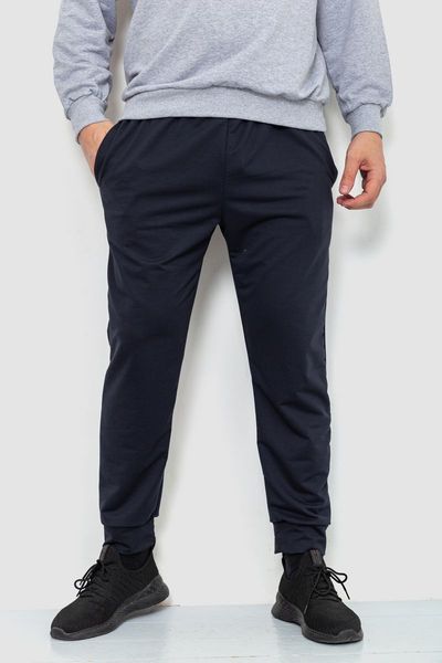 Спорт штаны мужские двухнитка, цвет темно-синий, 241R8005 241R8005 фото