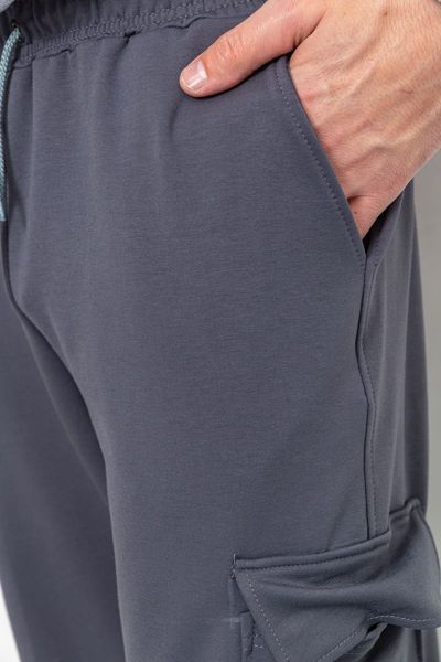 Спортивні штани чоловічі двонитка, колір сірий, 241R0651-1 241R0651-1 фото