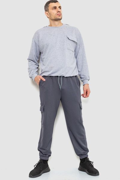 Спортивные штаны мужские двухнитка, цвет серый, 241R0651-1 241R0651-1 фото