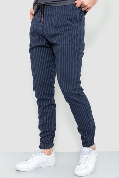 Чоловічі штани в смужку, колір синій, 157R2003 157R2003 фото