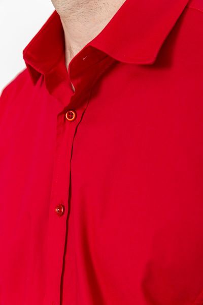 Сорочка чоловіча класична однотонна, колір темно-червоний, 186R30 186R30 фото
