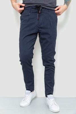 Чоловічі штани в смужку, колір синій, 157R2008-1 157R2008-1 фото