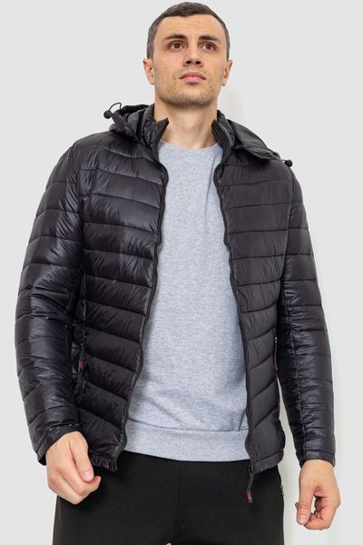 Куртка мужская демисезонная с капюшоном, цвет черный, 214R05 214R05 фото